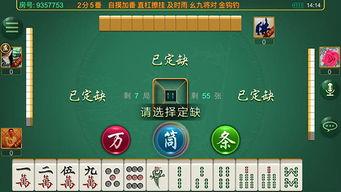 麻将配料爆料视频大全教程,视频大全教程深度解析  第2张