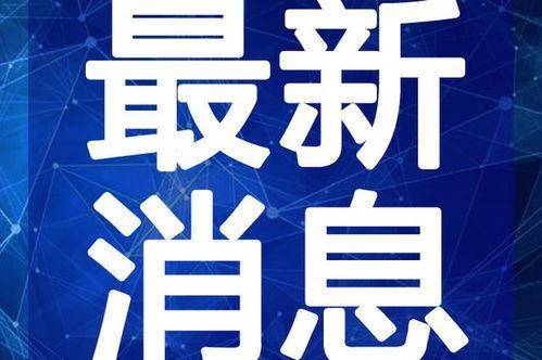 阿飞最新爆料新闻视频,揭秘娱乐圈惊人内幕！